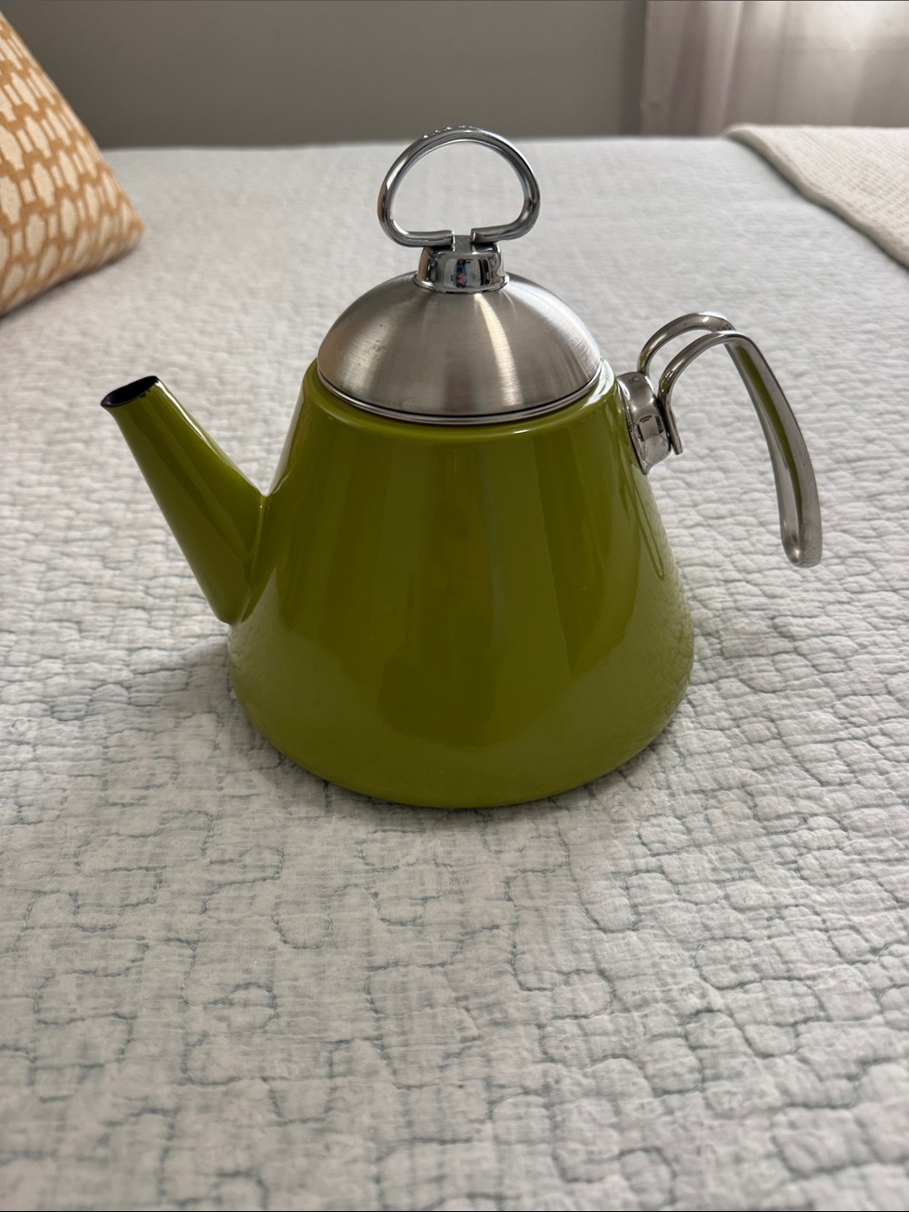Chantal Green Stainless Steel Teapot with Polished Lid